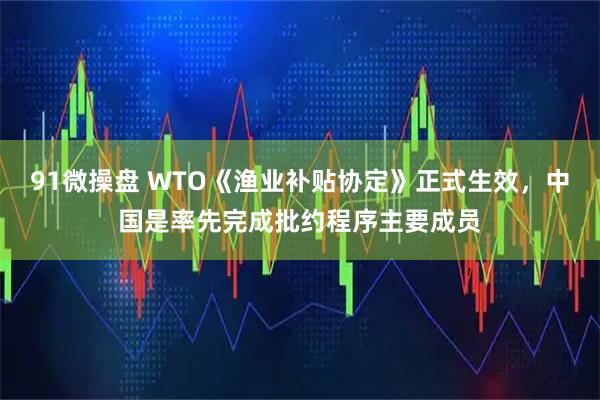 91微操盘 WTO《渔业补贴协定》正式生效，中国是率先完成批约程序主要成员