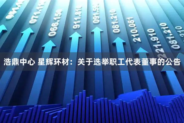 浩鼎中心 星辉环材：关于选举职工代表董事的公告