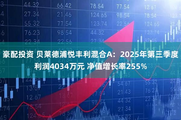 豪配投资 贝莱德浦悦丰利混合A：2025年第三季度利润4034万元 净值增长率255%